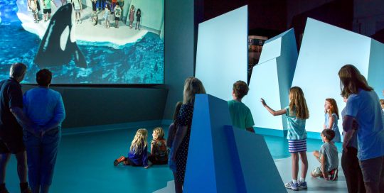 Image shows people using augmented reality screen to interact with killer whales at Nobbies Ocean Discovery Centre Phillip Island Nature Parks