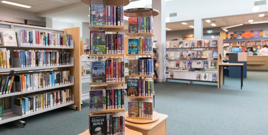 Interior of Hampton Park Library showing shelving with books