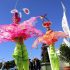 Orange Blossom Festival & Parade Social Story