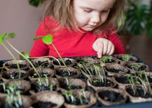 Young girl partaking in a planting workshop