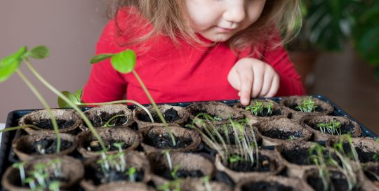 Young girl partaking in a planting workshop