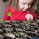 Young girl partaking in a planting workshop