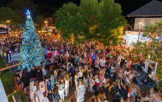 Light Up Windsor Street Fair with event attendees gathered around a large Christmas tree